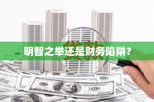 海盐明智之举还是财务陷阱？