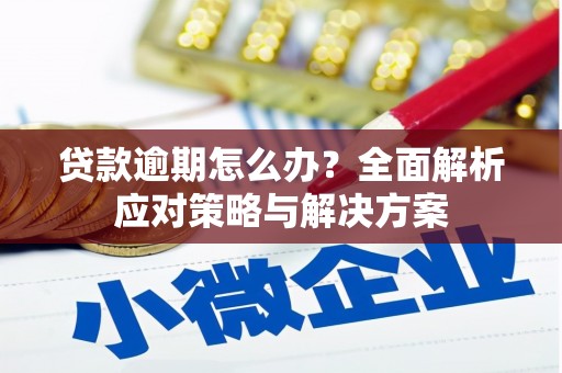 达拉特旗贷款逾期怎么办？全面解析应对策略与解决方案