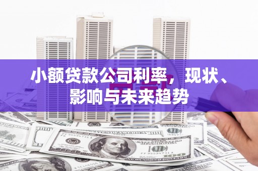 沙坪坝小额贷款公司利率，现状、影响与未来趋势