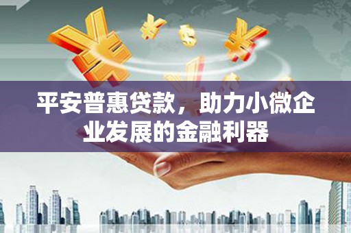 小港平安普惠贷款，助力小微企业发展的金融利器