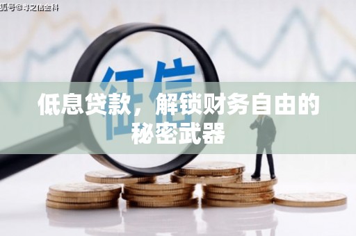 湖西低息贷款，解锁财务自由的秘密武器