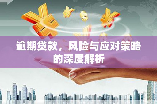 云浮逾期贷款，风险与应对策略的深度解析