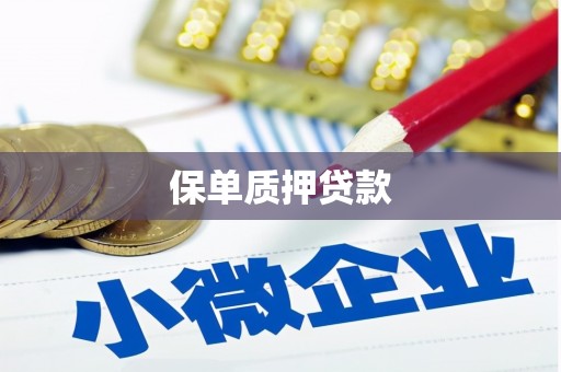 铜陵保单质押贷款
