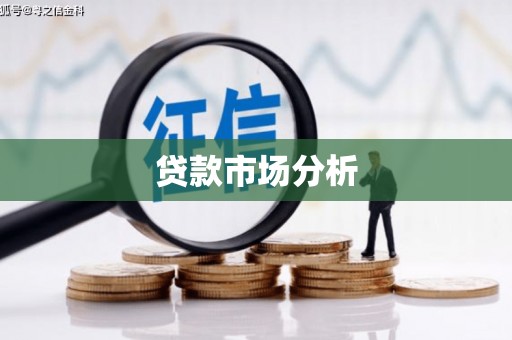 贵德贷款市场分析