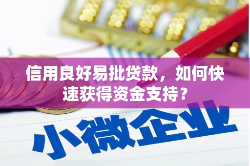 海东信用良好易批贷款，如何快速获得资金支持？
