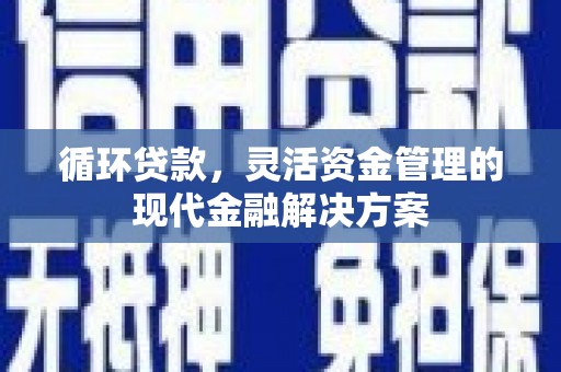 东乌旗循环贷款，灵活资金管理的现代金融解决方案