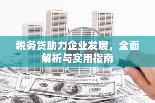东昌税务贷助力企业发展，全面解析与实用指南