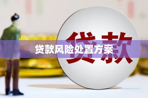 根河贷款风险处置方案