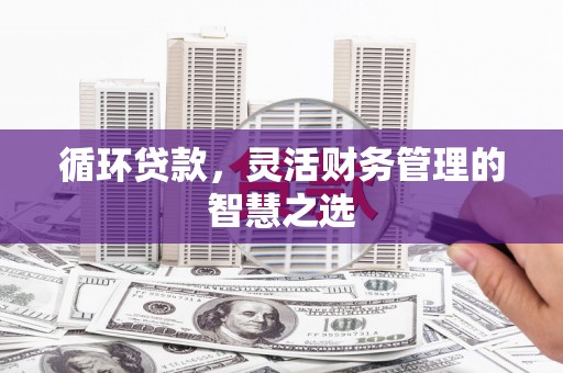 保税港区循环贷款，灵活财务管理的智慧之选