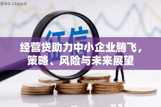 定海经营贷助力中小企业腾飞，策略、风险与未来展望