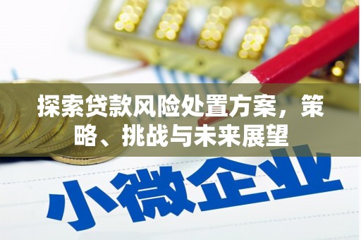上林探索贷款风险处置方案，策略、挑战与未来展望