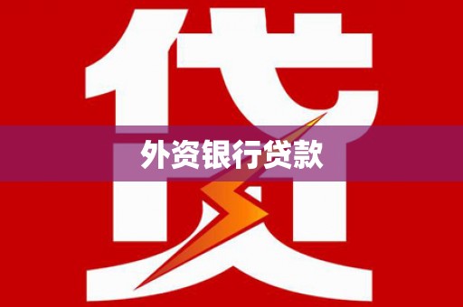 泸定外资银行贷款