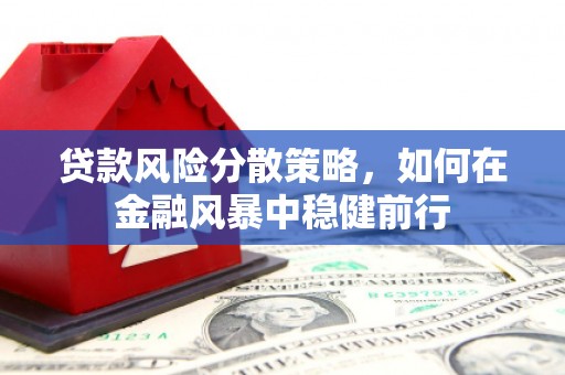 沛县贷款风险分散策略，如何在金融风暴中稳健前行