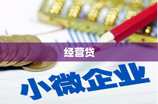 延平经营贷