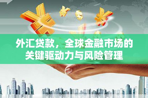安定外汇贷款，全球金融市场的关键驱动力与风险管理