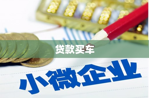 平舆贷款买车