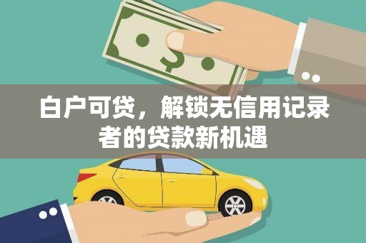 特克斯白户可贷，解锁无信用记录者的贷款新机遇