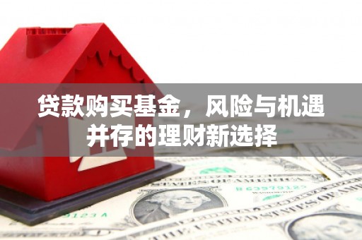永善贷款购买基金，风险与机遇并存的理财新选择