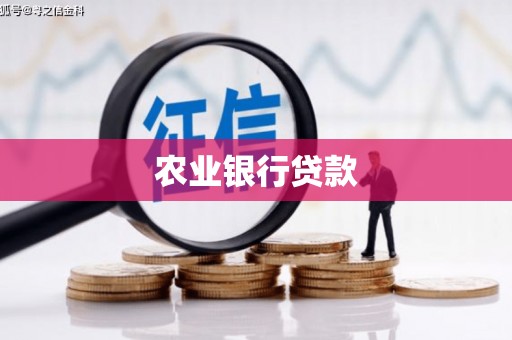 东兴农业银行贷款