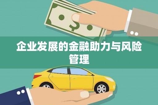 红星企业发展的金融助力与风险管理