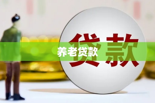 乐东养老贷款