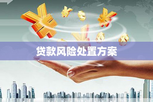 龙文贷款风险处置方案