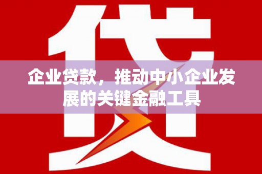 天元企业贷款，推动中小企业发展的关键金融工具