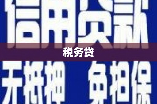 夏邑税务贷