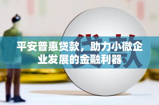 海州平安普惠贷款，助力小微企业发展的金融利器