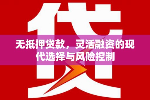 水林无抵押贷款，灵活融资的现代选择与风险控制