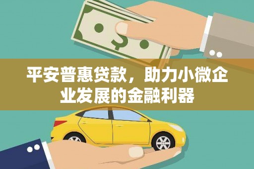 东乌旗平安普惠贷款，助力小微企业发展的金融利器