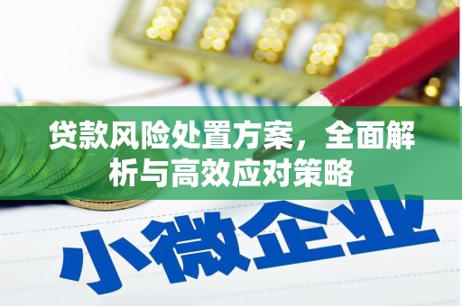 容县贷款风险处置方案，全面解析与高效应对策略
