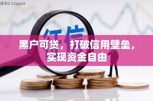 双清黑户可贷，打破信用壁垒，实现资金自由