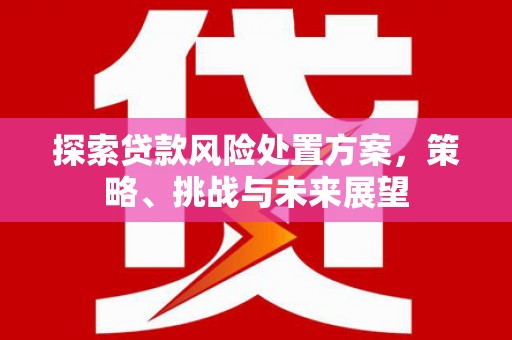 秀山探索贷款风险处置方案，策略、挑战与未来展望