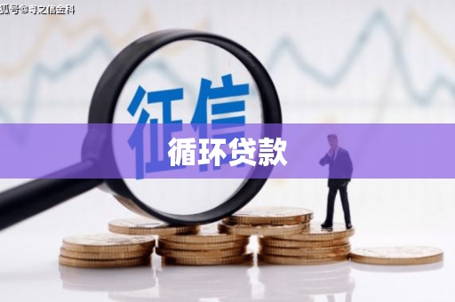 梧州循环贷款