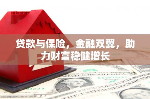 民勤贷款与保险，金融双翼，助力财富稳健增长