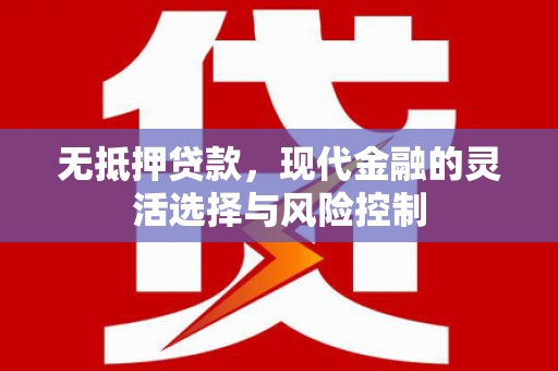 台西无抵押贷款，现代金融的灵活选择与风险控制