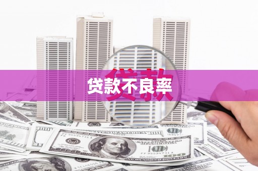 秀屿贷款不良率