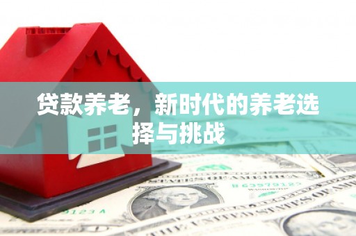 召陵贷款养老，新时代的养老选择与挑战
