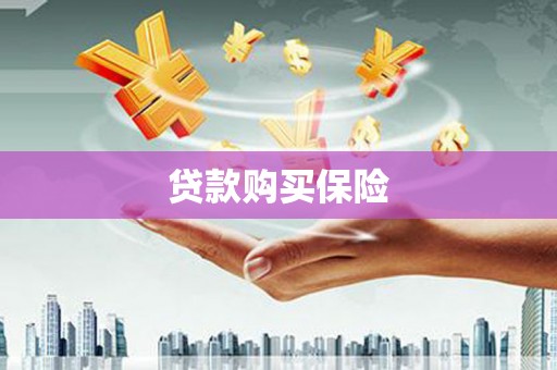 沙依巴克贷款购买保险