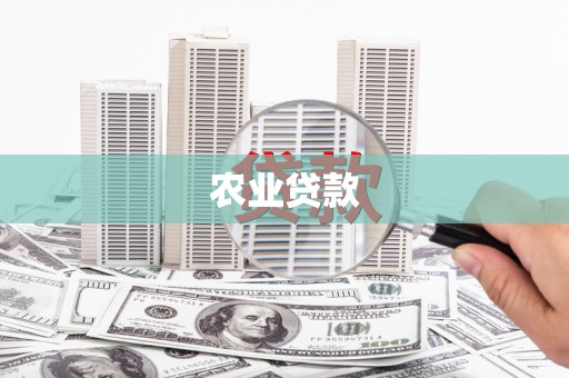 延边农业贷款