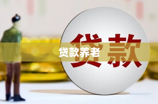 新河贷款养老