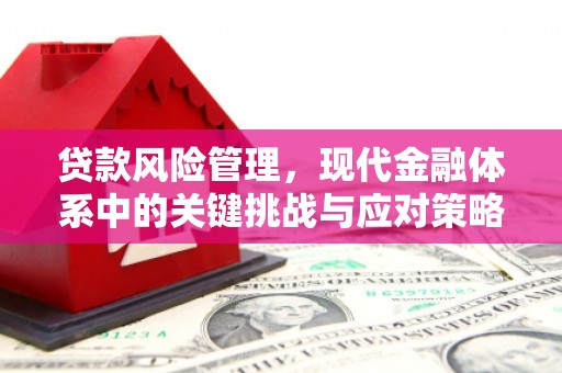 新社贷款风险管理，现代金融体系中的关键挑战与应对策略