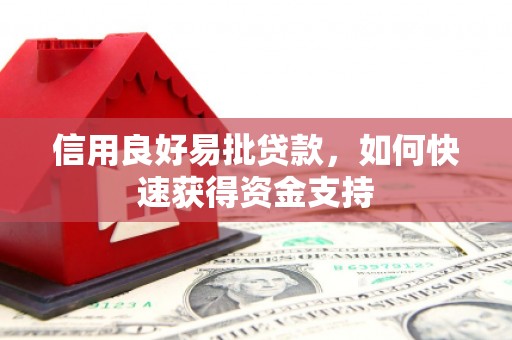 西充信用良好易批贷款，如何快速获得资金支持