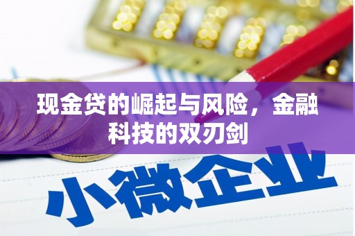 鼓山现金贷的崛起与风险，金融科技的双刃剑