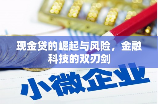 宜城现金贷的崛起与风险，金融科技的双刃剑
