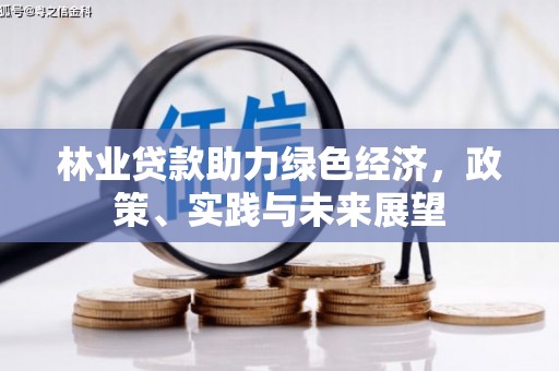 江北林业贷款助力绿色经济，政策、实践与未来展望