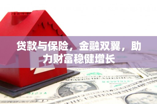 洛扎贷款与保险，金融双翼，助力财富稳健增长