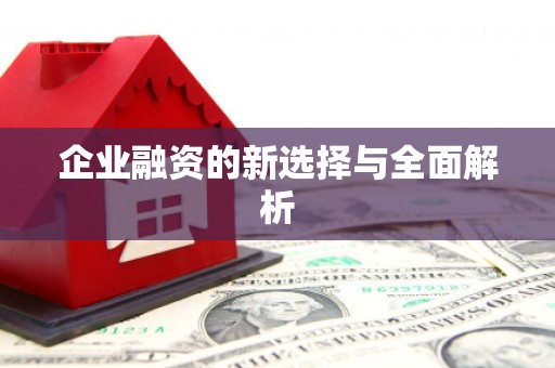 湖北企业融资的新选择与全面解析