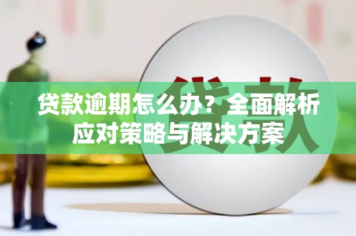 嵩县贷款逾期怎么办？全面解析应对策略与解决方案